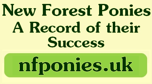 nfponies.uk on facebook