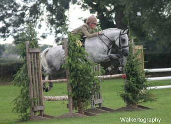 Fairrose Fantasy at RIHS 2013